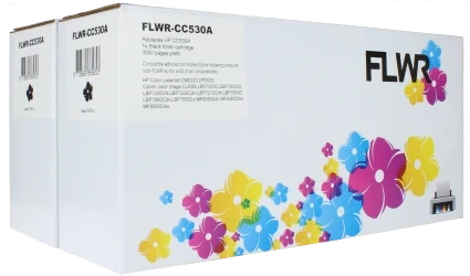 FLWR HP 304AD 2 pack zwart Front box